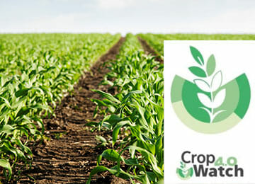 cropwatch hispatec