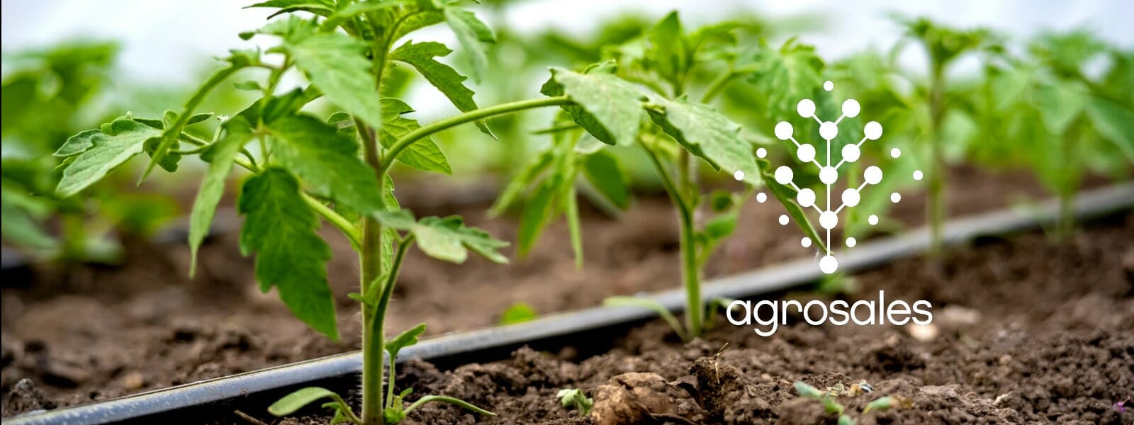 Planes de Riego y tratamientos Agrosales