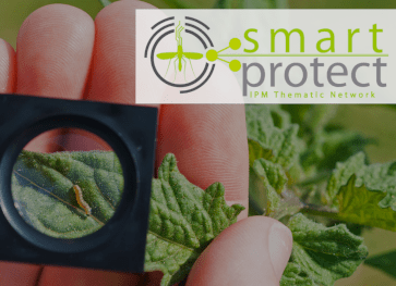 smartprotect Hispatec