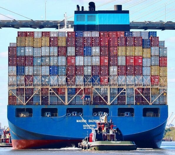 logistica frutas y verduras Maersk Saltoro